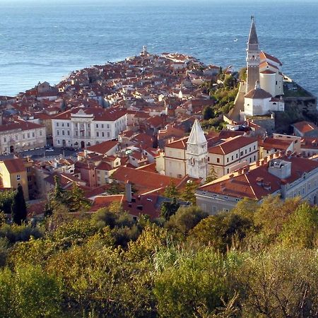 Sea View Istrian Countryside Apartment - Rota Dragonja Екстер'єр фото