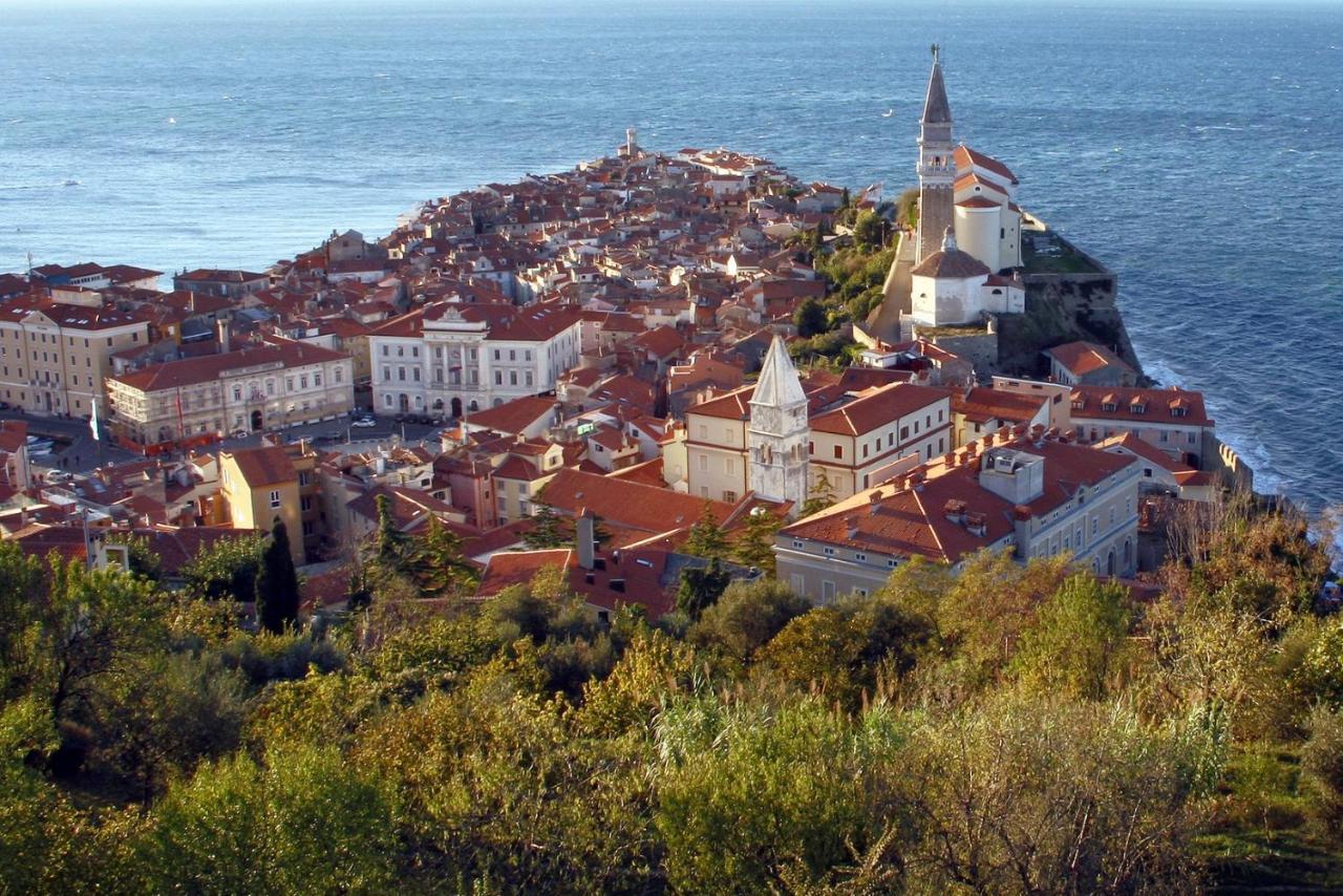 Sea View Istrian Countryside Apartment - Rota Dragonja Екстер'єр фото